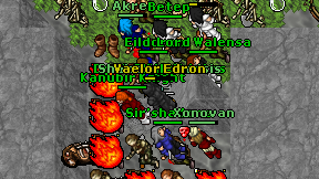 Vaelor Edron on screen