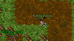 Kalag Zulay on screen