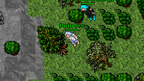 Pointer on screen