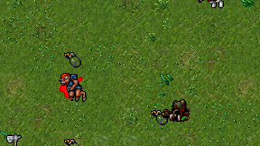 Derr czaja on screen