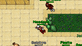 Moodash on screen