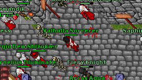 Valhalla Sorcerer on screen