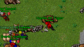 Nashi Of Tiger on screen