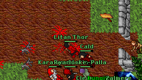 Litan Thor on screen