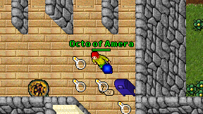 Octo of Amera on screen