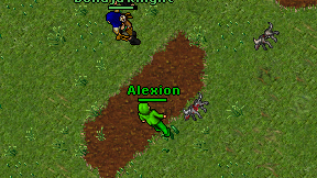 Alexion on screen