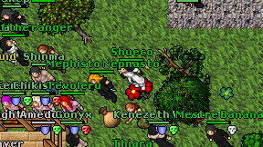 Shueco on screen