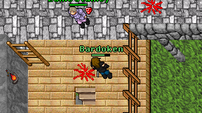 Bardoken on screen