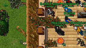 Misiachu on screen