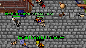 Knight Death Of Shadow on screen