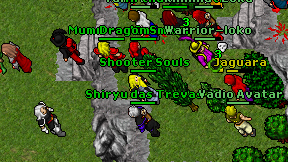 Shooter Souls on screen