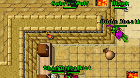 Sabre-Wulf on screen