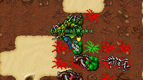 Eternal Waka on screen