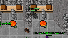 Gorder on screen