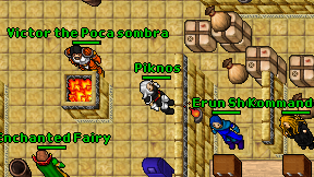 Piknos on screen