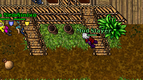 Mud Slayer on screen
