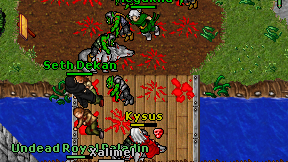 Kysus on screen