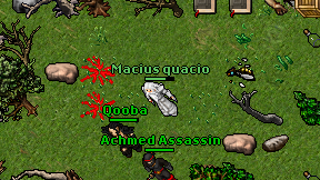 Macius quacio on screen