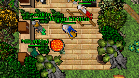 Rigon Elrilen on screen