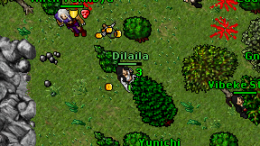 Dilaila on screen