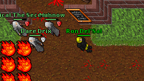 Ron Del'Sal on screen