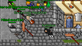 Salidyn on screen