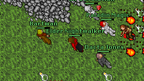 Elder Nightwalker on screen