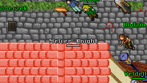 Melcer-Knight on screen
