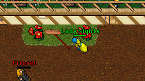 Lady Nights on screen