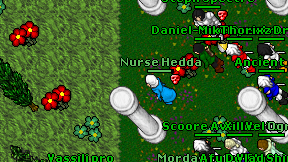 Nurse Hedda on screen