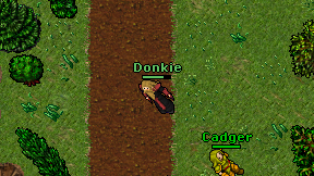 Donkie on screen