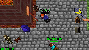 Nolut on screen