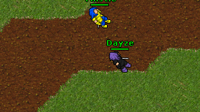 Dayze on screen