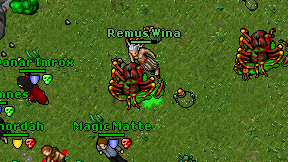 Remus Wina on screen