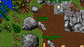 Cacum on screen