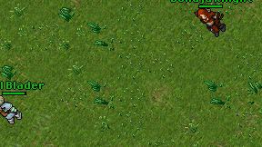 Royal Blader on screen