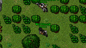 Wil Hook on screen