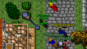 Placor on screen