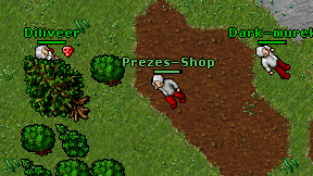 Prezes-Shop on screen