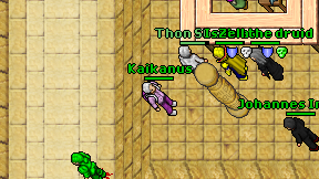 Kaikanus on screen