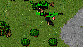 Makako druid on screen