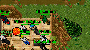 Fiddio on screen