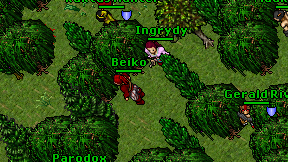 Beiko on screen