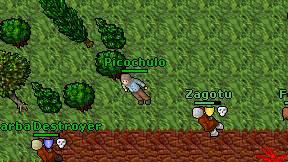 Picochulo on screen