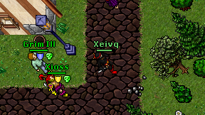 Xeivq on screen