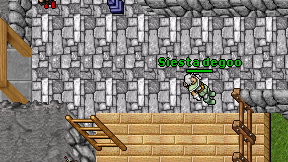 Siesta degoo on screen