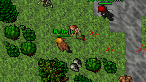 Dziejk on screen