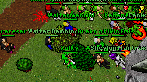 Emprecesar on screen