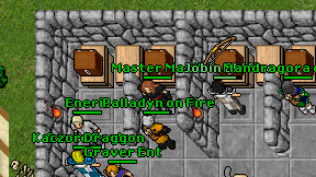 Master Maxik on screen
