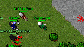 Vaynard on screen